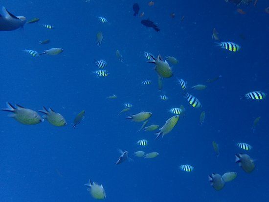 Wrak van USS Liberty